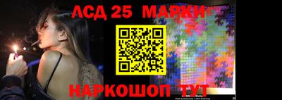 индика Лесосибирск