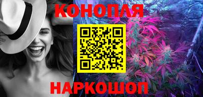индика Лесосибирск