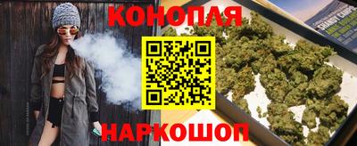 индика Лесосибирск