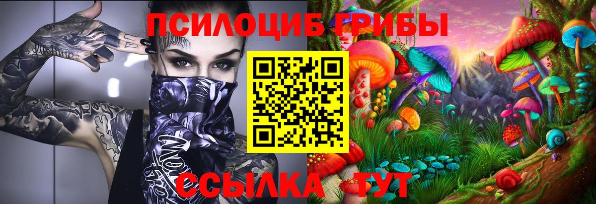 Чернушка  Псилоцибиновые грибы Cubensis  Вход с VPN 