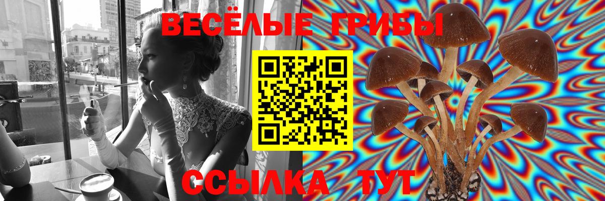 Галлюциногенные грибы GOLDEN TEACHER Чернушка